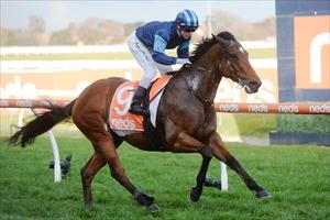 Alfa Oro, Caulfield 27 June 2020